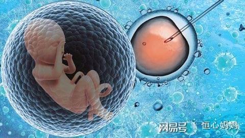 周医生